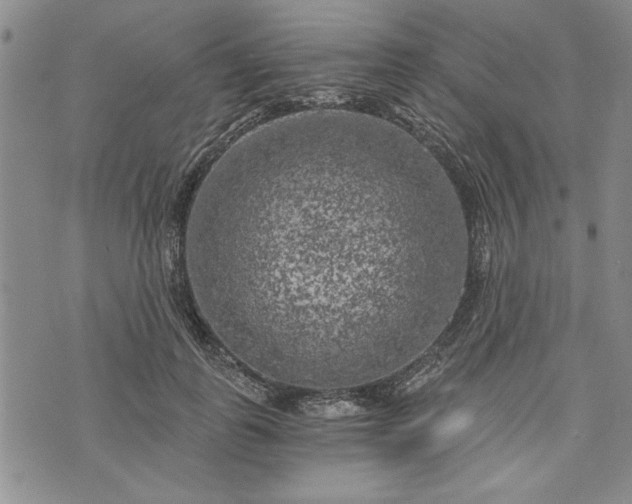 X0000072960747200608041152