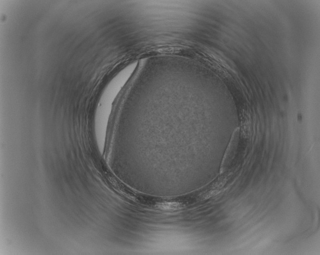 X0000072960748200608041152