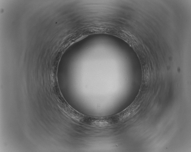 X0000072960749200608041152