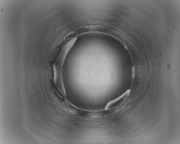 X0000072960750200608041152