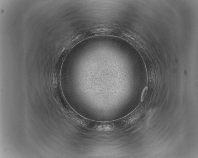 X0000072960751200608041152