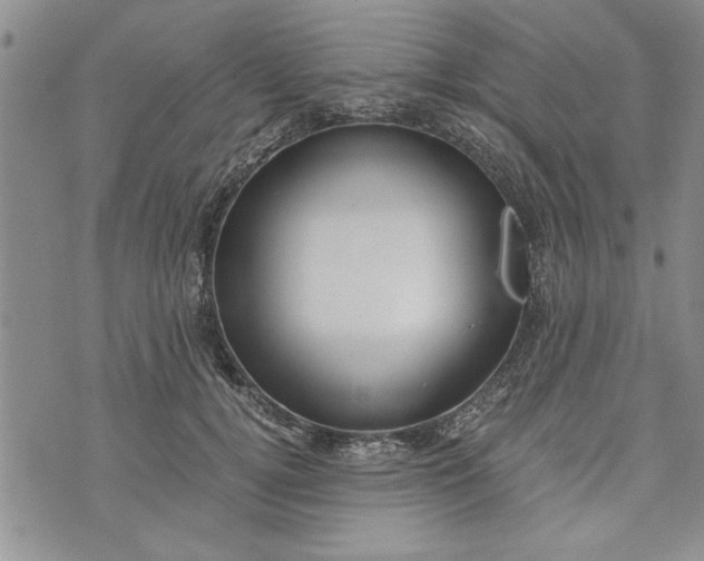 X0000072960752200608041152