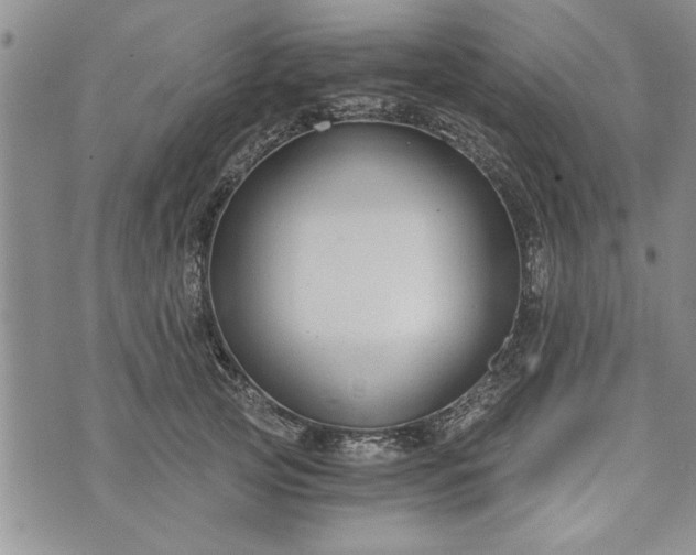 X0000072960753200608041152