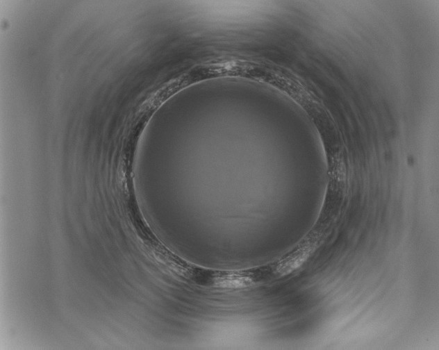 X0000072960754200608041152