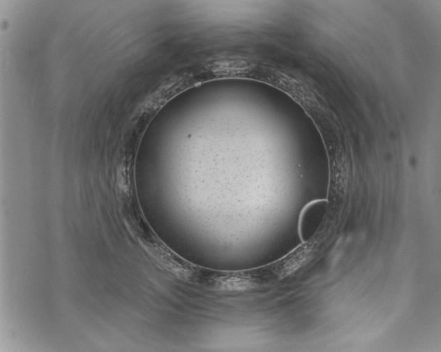 X0000072960755200608041152