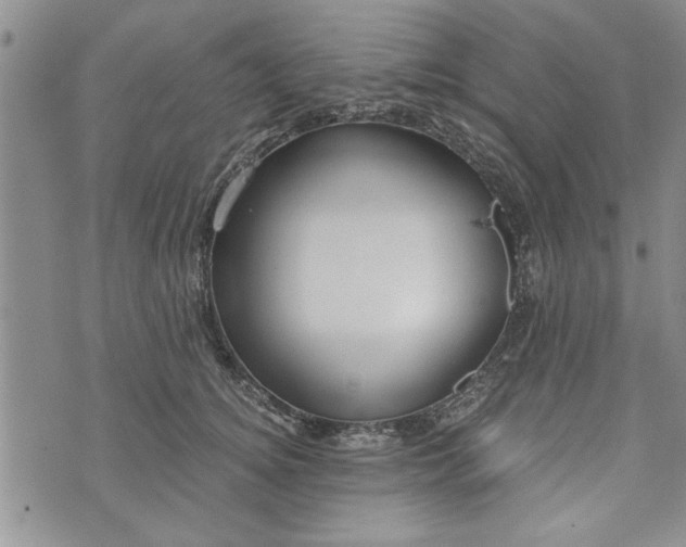 X0000072960756200608041152