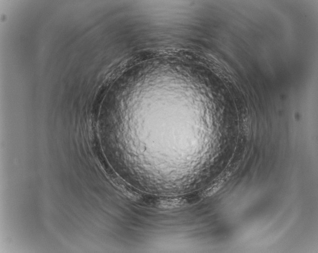 X0000072960757200608041152