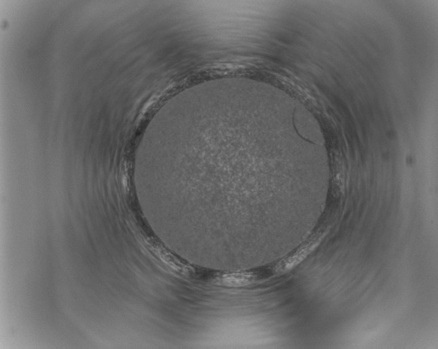 X0000072960758200608041152