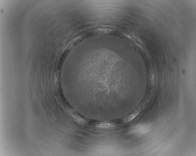 X0000072960759200608041152