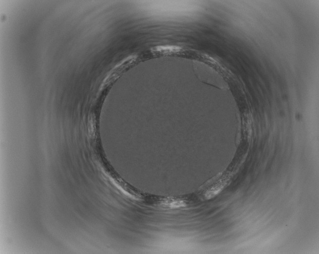 X0000072960760200608041152