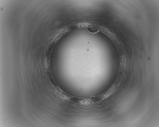 X0000072960761200608041152