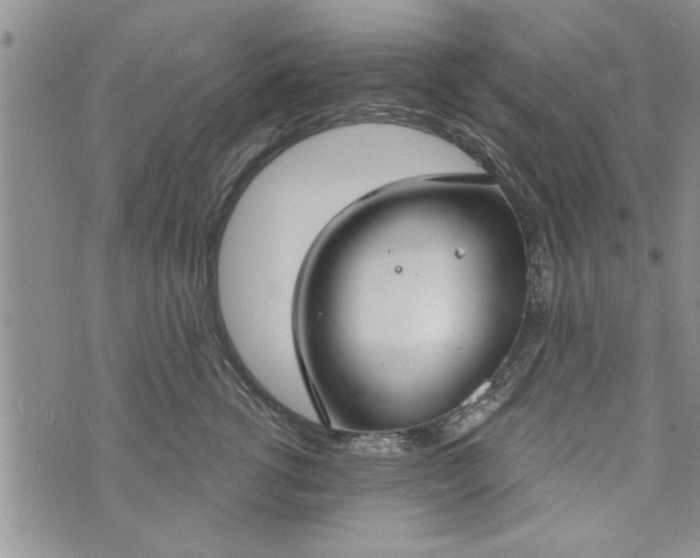 X0000072960762200608041152