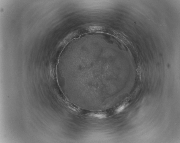 X0000072960763200608041152