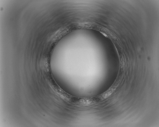 X0000072960764200608041152