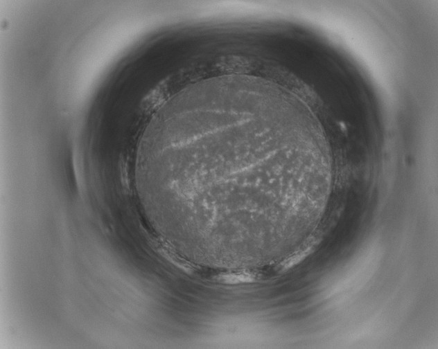 X0000072960765200608041152