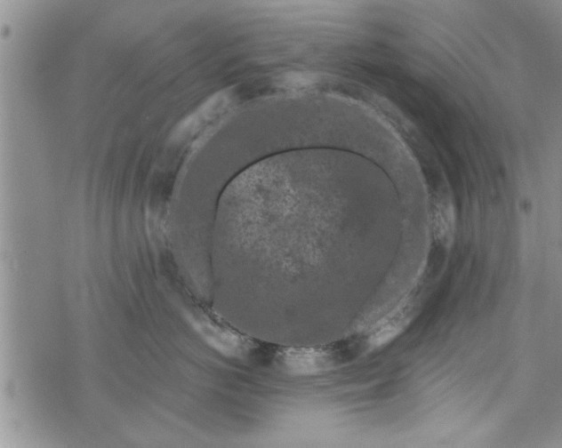 X0000072960766200608041153