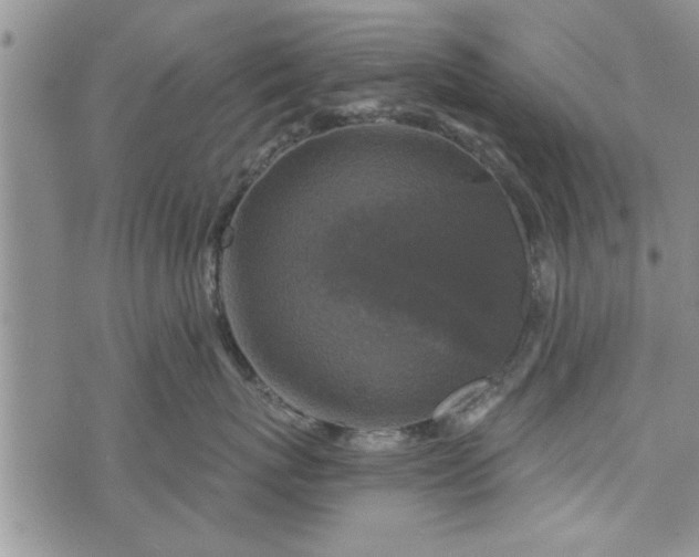 X0000072960767200608041153