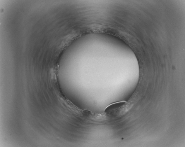 X0000072960768200608041153