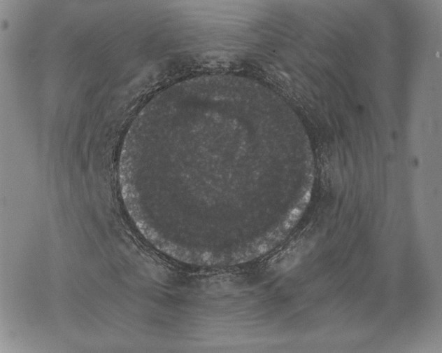 X0000072960769200608041152