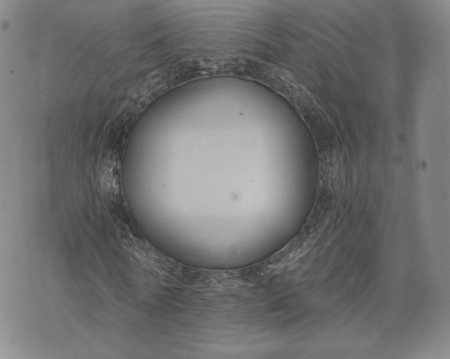 X0000072960770200608041152