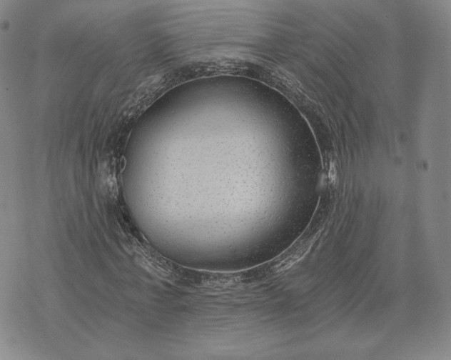 X0000072960771200608041152