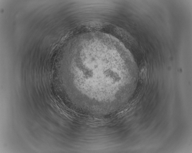 X0000072960772200608041152