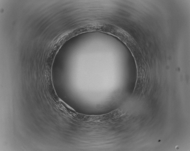 X0000072960773200608041152