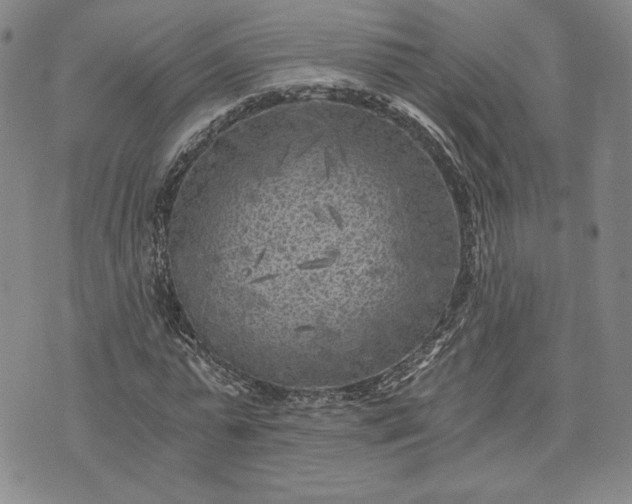 X0000072960775200608041152