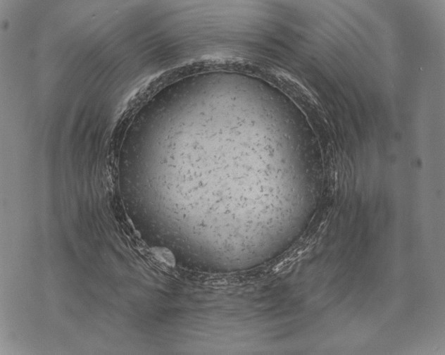 X0000072960776200608041152