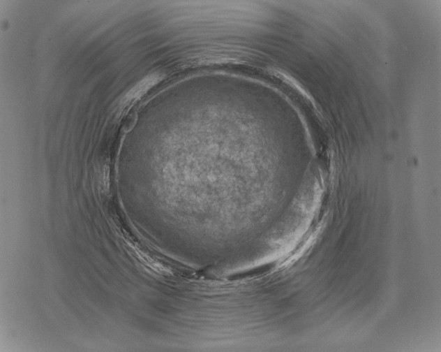 X0000072960777200608041152