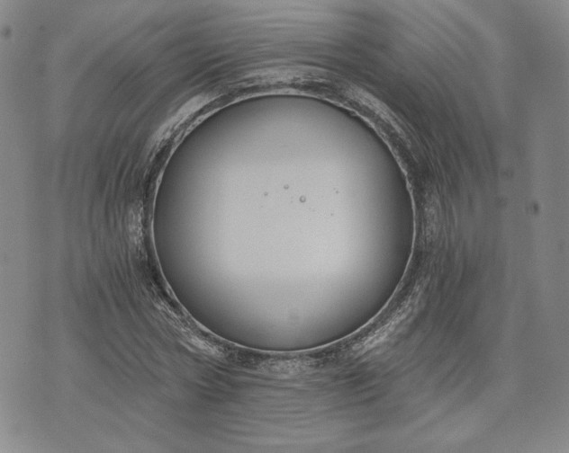 X0000072960778200608041152