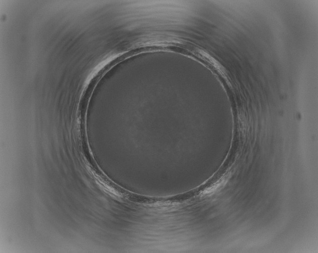 X0000072960779200608041152