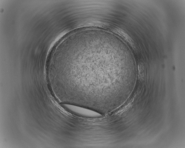 X0000072960780200608041152