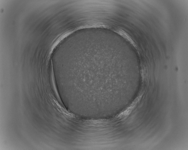 X0000072960781200608041152