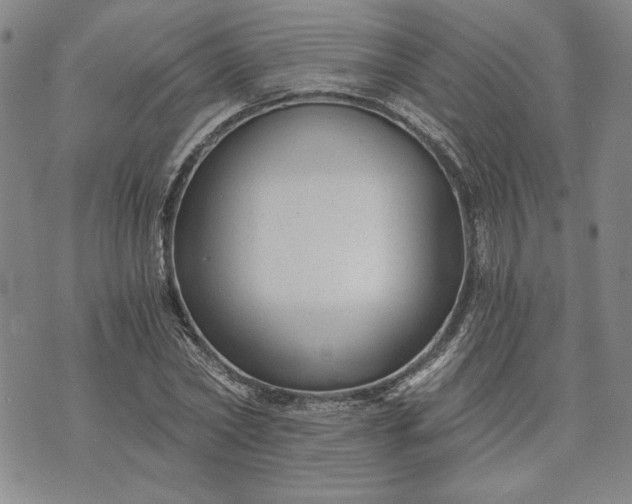 X0000072960782200608041152