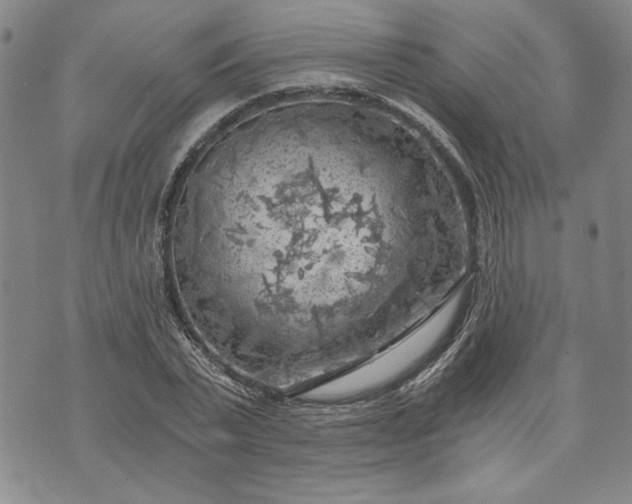 X0000072960783200608041152