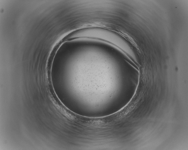 X0000072960784200608041152