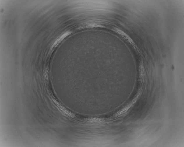 X0000072960785200608041152