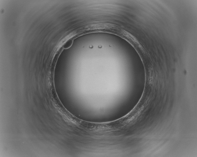 X0000072960786200608041151