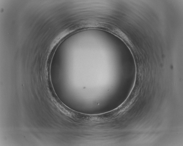 X0000072960787200608041151