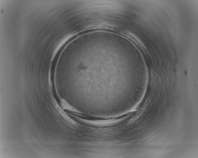 X0000072960788200608041151