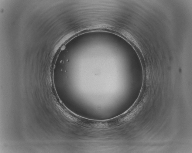 X0000072960789200608041151