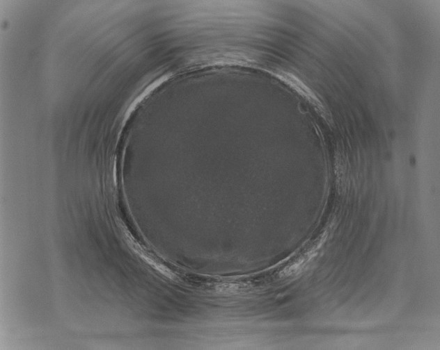 X0000072960790200608041151