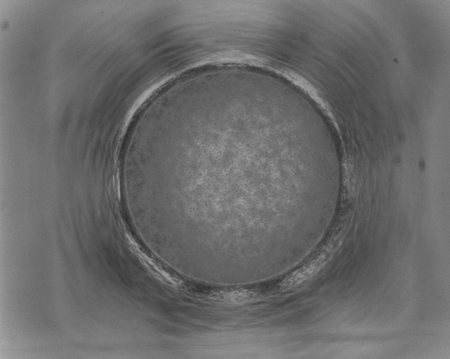 X0000072960791200608041151