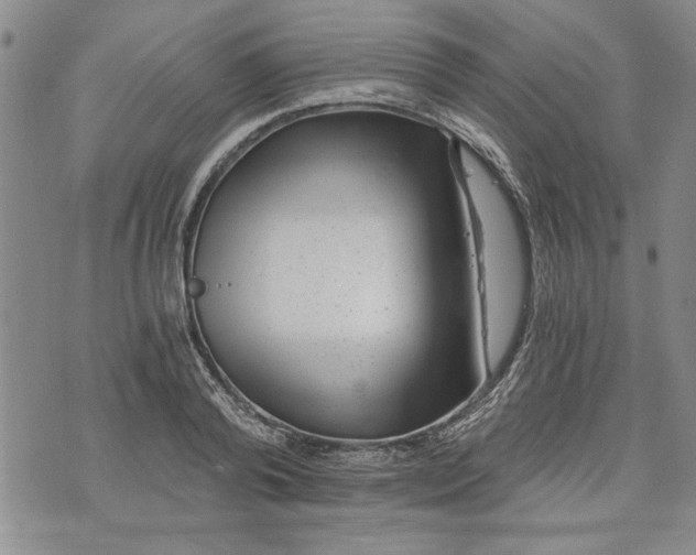 X0000072960792200608041151