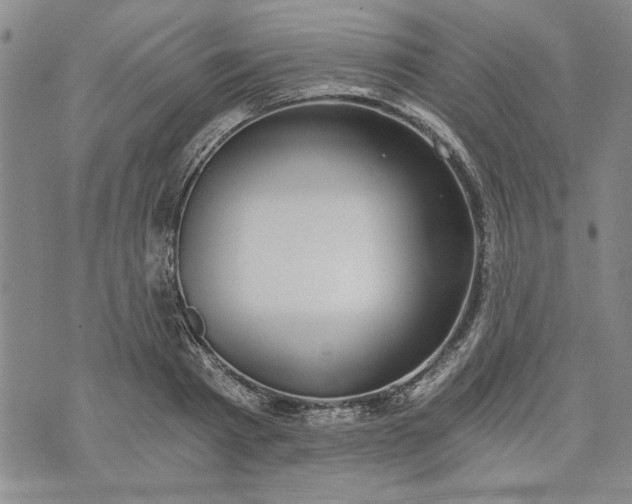 X0000072960793200608041151