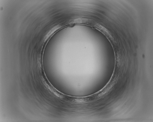 X0000072960794200608041151