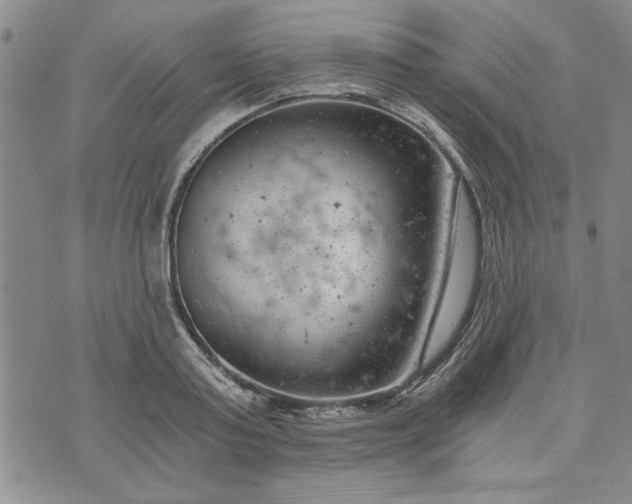 X0000072960795200608041151