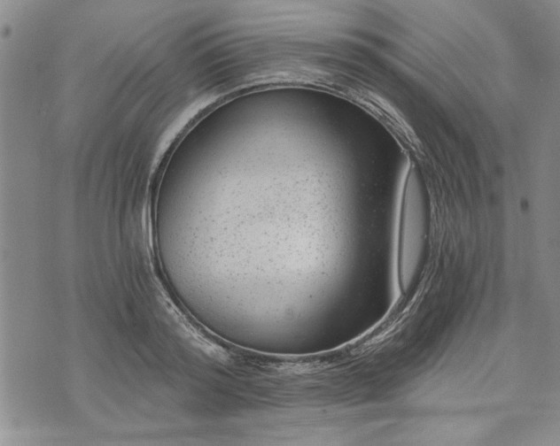 X0000072960796200608041151