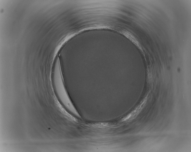 X0000072960797200608041151